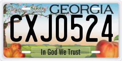 GA license plate CXJ0524