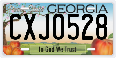 GA license plate CXJ0528