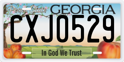 GA license plate CXJ0529