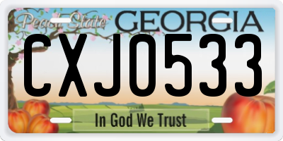 GA license plate CXJ0533