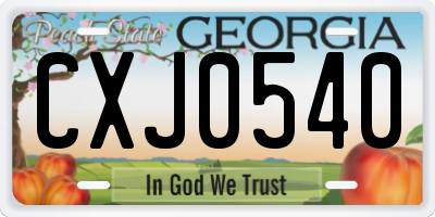 GA license plate CXJ0540