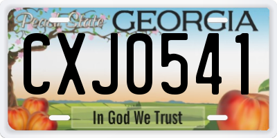 GA license plate CXJ0541