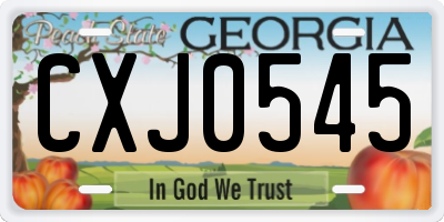 GA license plate CXJ0545