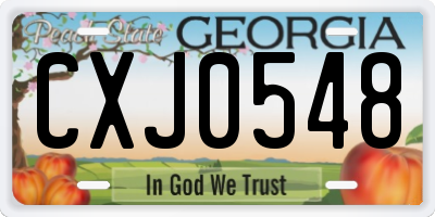 GA license plate CXJ0548