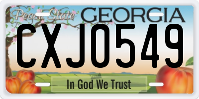 GA license plate CXJ0549