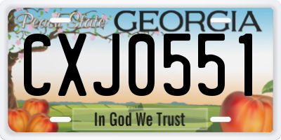 GA license plate CXJ0551
