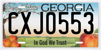 GA license plate CXJ0553