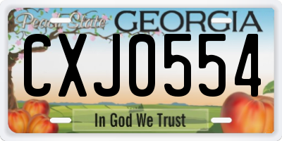 GA license plate CXJ0554