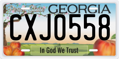GA license plate CXJ0558