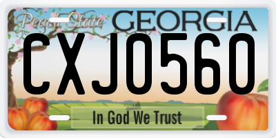 GA license plate CXJ0560
