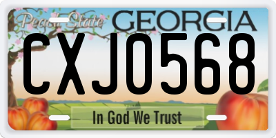 GA license plate CXJ0568