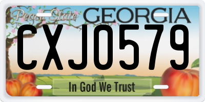 GA license plate CXJ0579