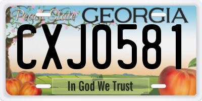 GA license plate CXJ0581