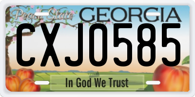 GA license plate CXJ0585