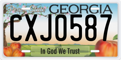 GA license plate CXJ0587