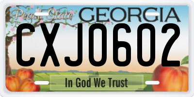 GA license plate CXJ0602