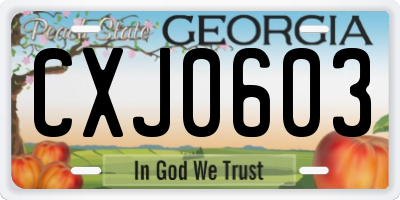 GA license plate CXJ0603