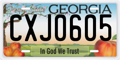 GA license plate CXJ0605