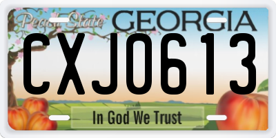 GA license plate CXJ0613