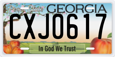 GA license plate CXJ0617
