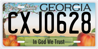 GA license plate CXJ0628