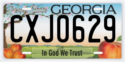 GA license plate CXJ0629