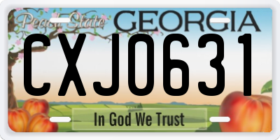 GA license plate CXJ0631