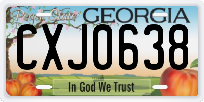 GA license plate CXJ0638