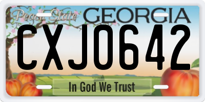 GA license plate CXJ0642