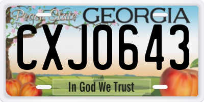 GA license plate CXJ0643
