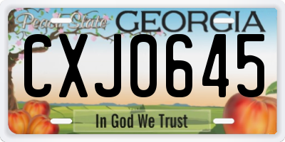 GA license plate CXJ0645