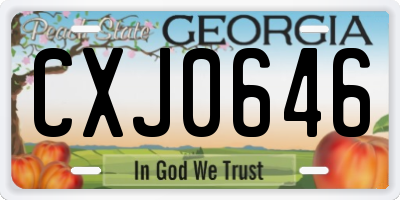 GA license plate CXJ0646