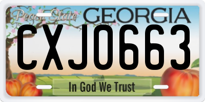 GA license plate CXJ0663