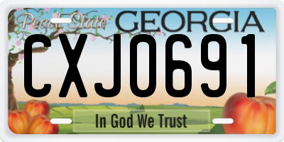 GA license plate CXJ0691