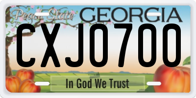 GA license plate CXJ0700
