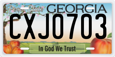 GA license plate CXJ0703