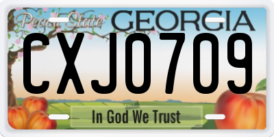 GA license plate CXJ0709