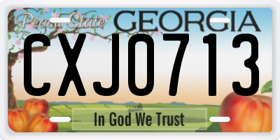 GA license plate CXJ0713