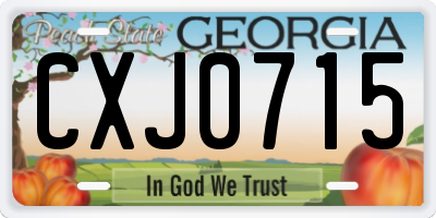 GA license plate CXJ0715