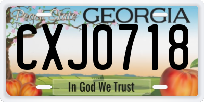 GA license plate CXJ0718