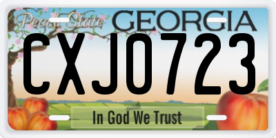 GA license plate CXJ0723
