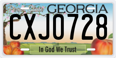 GA license plate CXJ0728