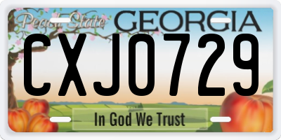 GA license plate CXJ0729