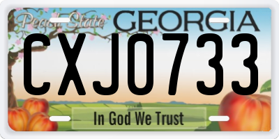 GA license plate CXJ0733