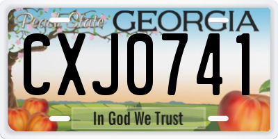 GA license plate CXJ0741