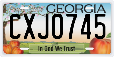 GA license plate CXJ0745