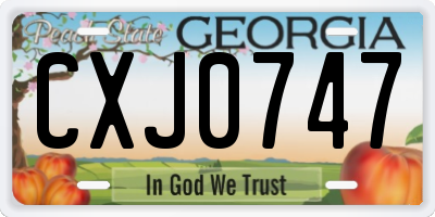 GA license plate CXJ0747
