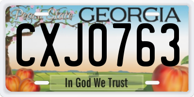 GA license plate CXJ0763