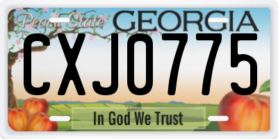 GA license plate CXJ0775