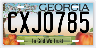 GA license plate CXJ0785